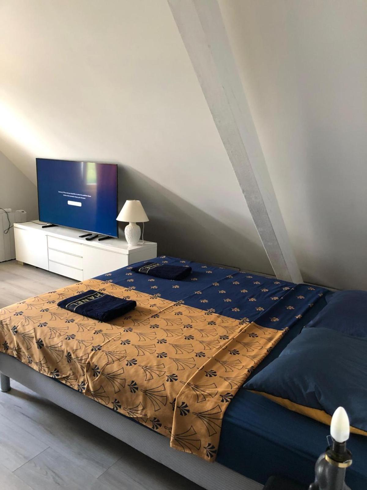 Les Cigognes De Andolsheim Apartman Kültér fotó